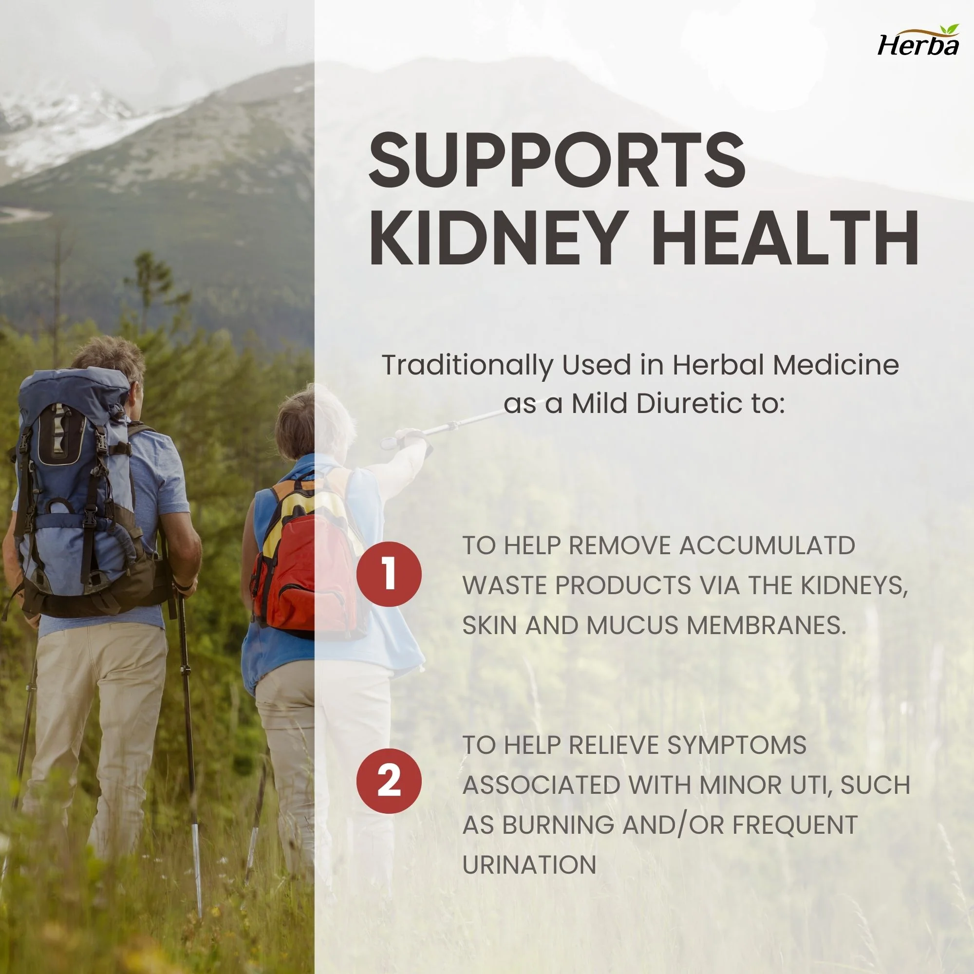 Kidney Cleanse Supplement – 120 Capsules | 8 Natural Ingredients to Support Kidney and Bladder Health - Image 7