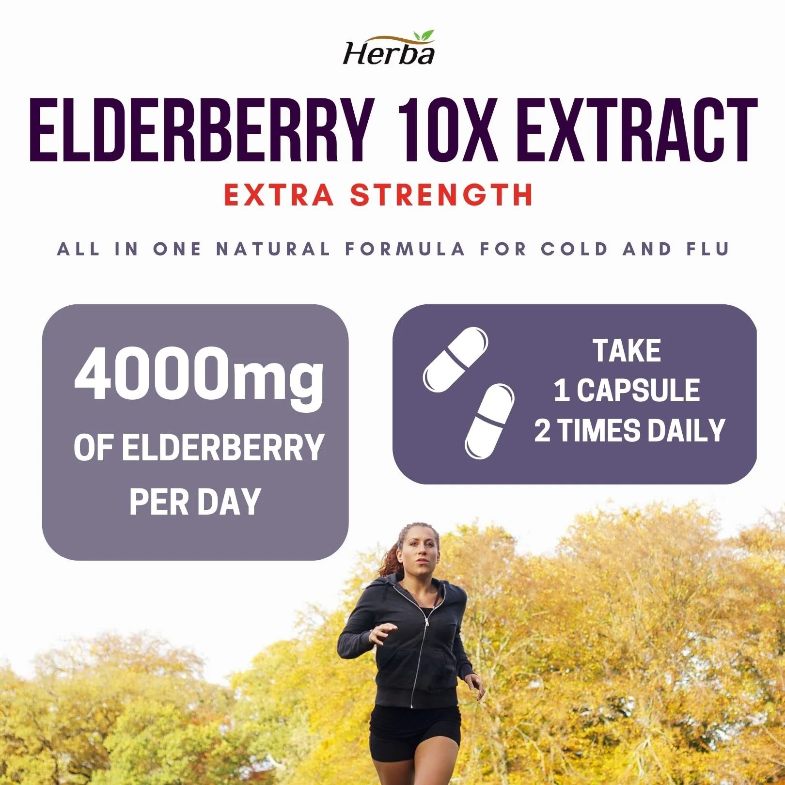 Sambucus Black Elderberry Capsules – 2,000mg Equivalent | 10:1 Extract with Echinacea and Goldenseal Root, Vitamin C, and Zinc - Image 7
